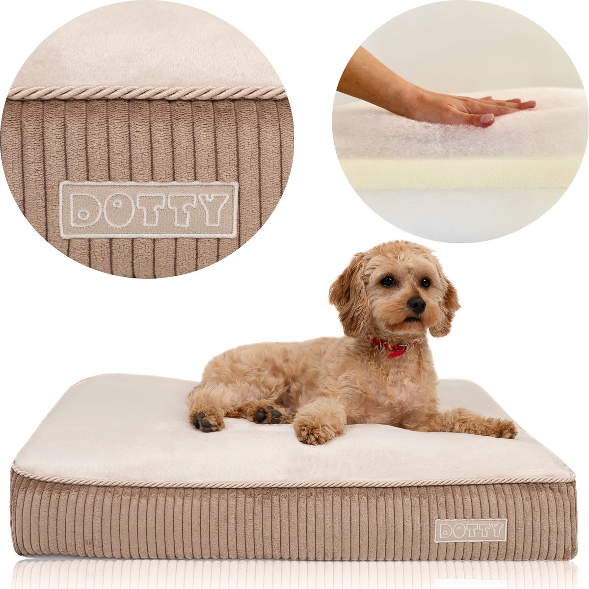 DOTTY Ortopedisch Hondenkussen XL (100x80cm) - Traagschuim & Wasbaar