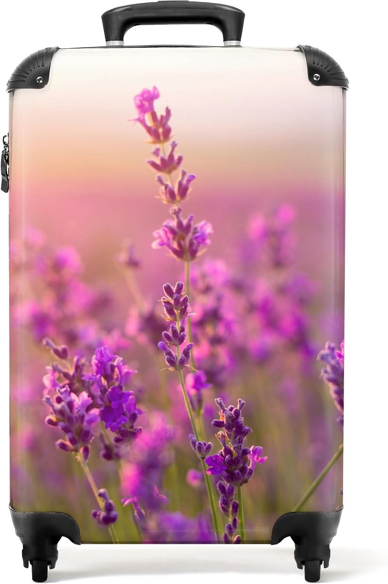 NoBoringSuitcases.com® Suitcase Hand Luggage, Trolley Suitcase, Small Travel Suitcase with 4 Wheels, Lavender - ShopVlot