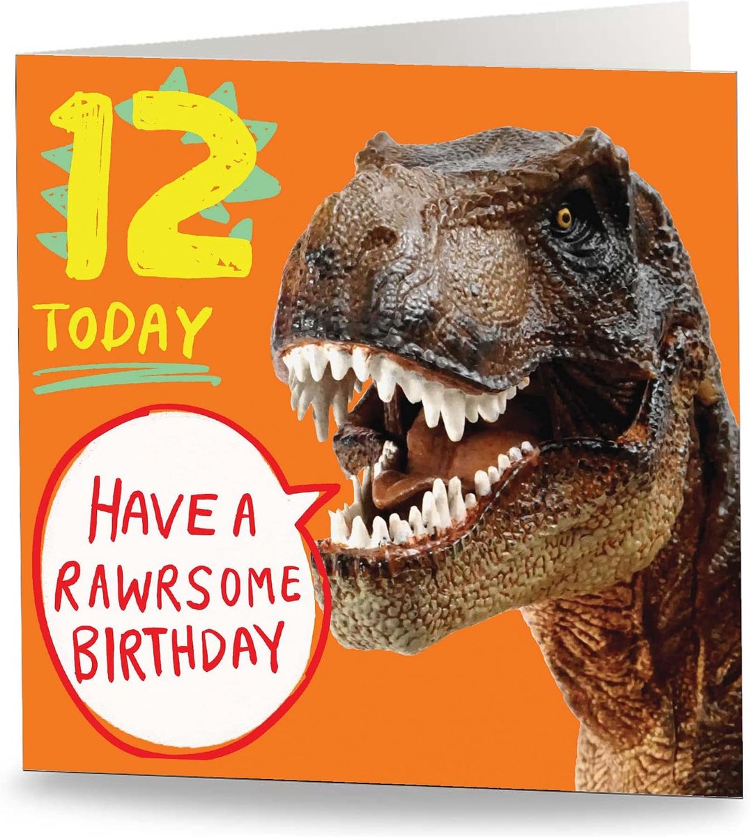 Maturi 12 Today - Rawrsome Orange Birthday Greeting Card - Empty Inside - ShopVlot