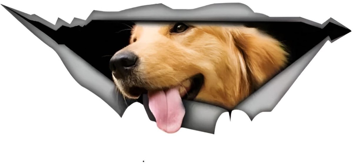 Solidchoice - Gouden Retriever 3D Reflecterende Autosticker 15 cm