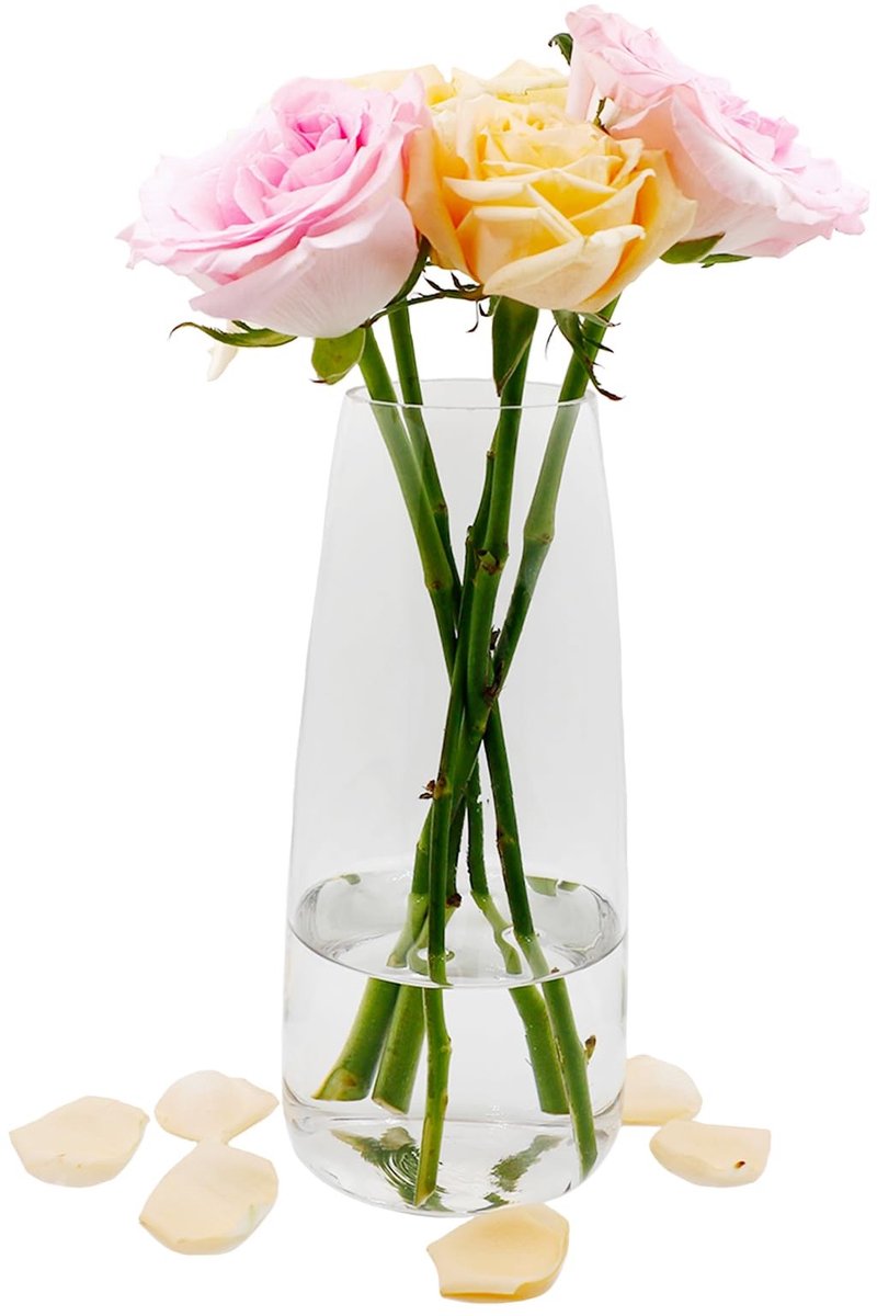Glazen bloemenvaas - moderne helder glazen vaas - 22 CM hoge glazen vaas voor tafel decoratie - decoratieve vazen voor pampas gras - tulpen - orchideeën - transparant