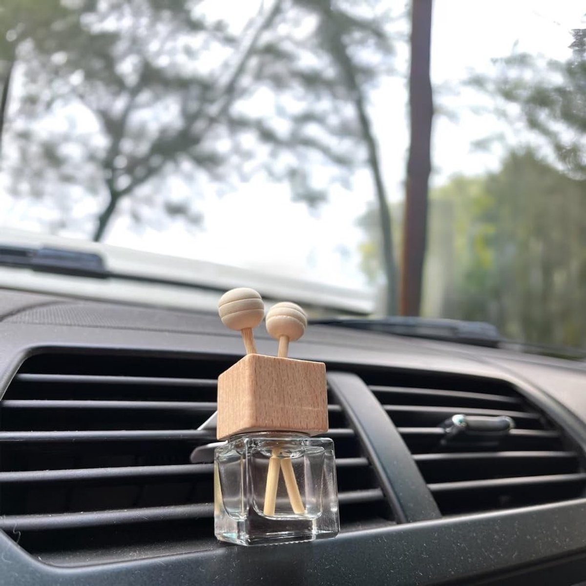 Solidchoice - Set van 10 Heldere Glazen Flessen voor Auto Luchtverfrisser