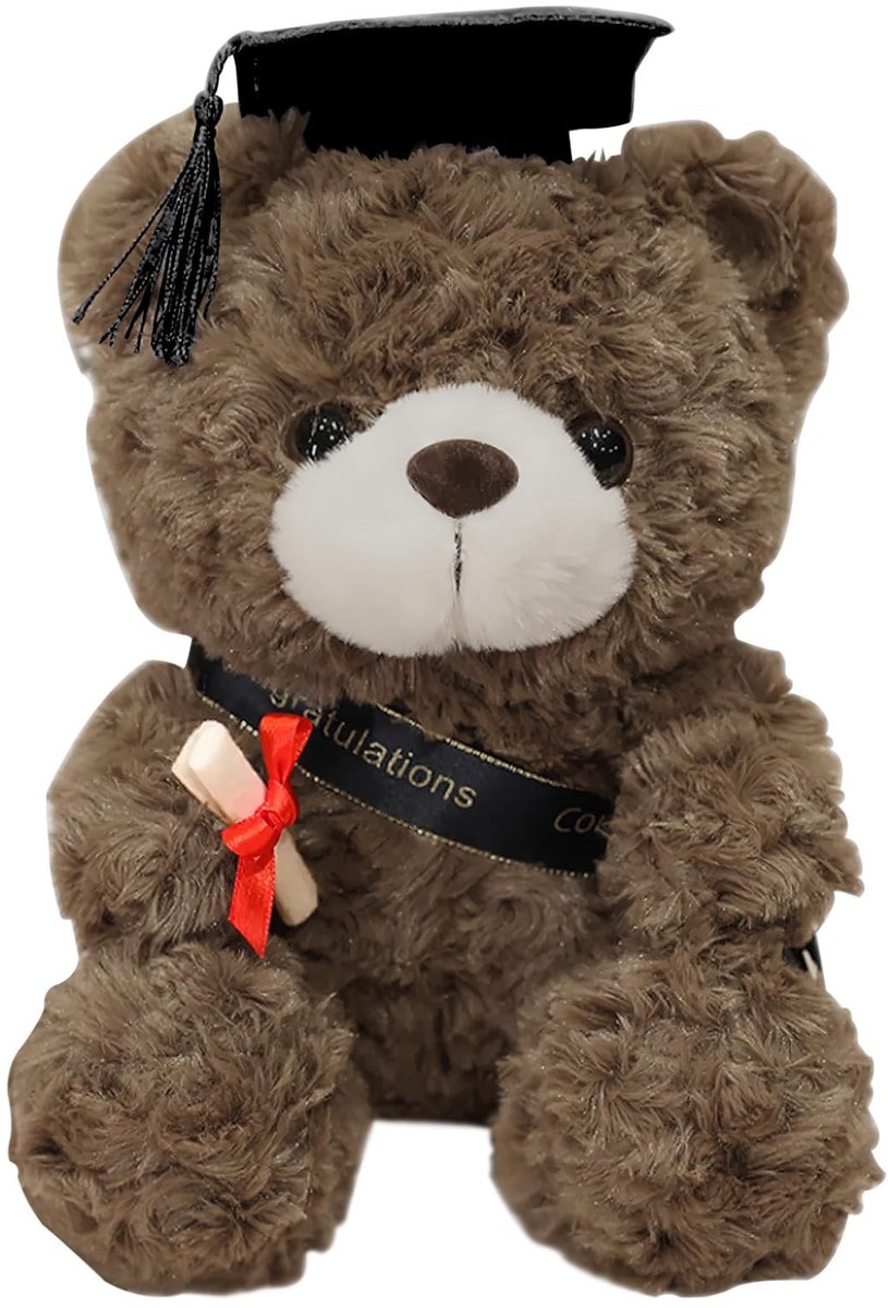 Solidchoice - Pluche Teddybeer met Afstudeerhoed en Diploma