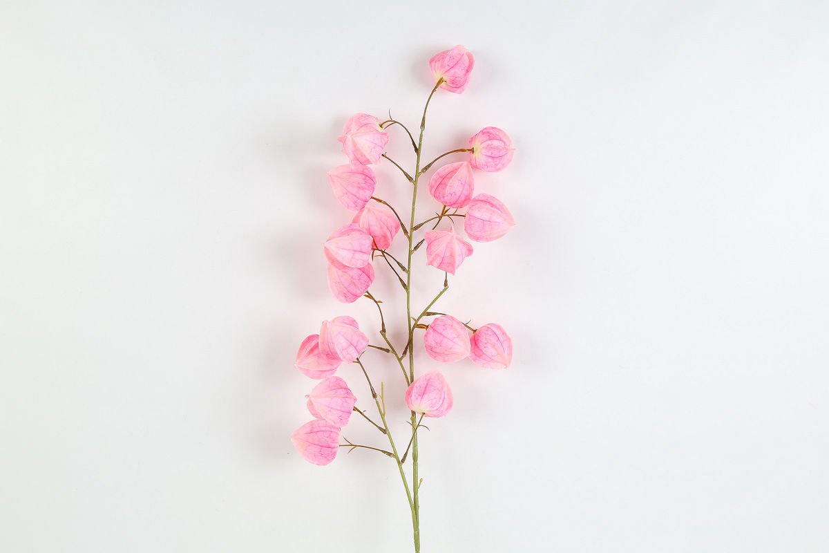 Countryfield kunstbloem decoratie Physalis roze 100cm lang.