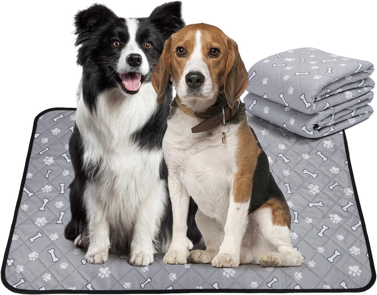 Honden training mat 120 x 90 cm - herbruikbaar en super absorberend - lekproof en antislip - ShopVlot