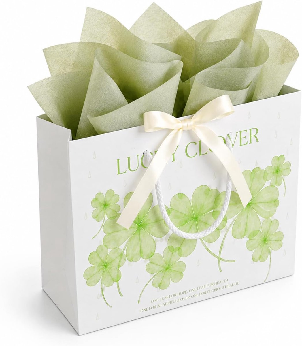Geschenkzakjes middelgroot 25,4 x 10 x 19 cm - met lint en celadongroen zijdepapier - ShopVlot