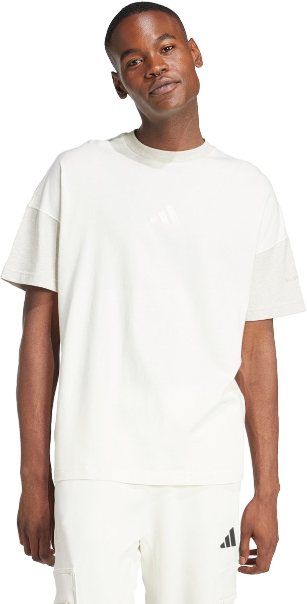 Adidas Sportswear All Szn Colorblock T-Shirt Heren Wit