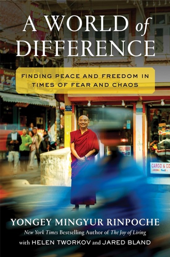 Couverture du livre 'A World of Difference' avec un moine bouddhiste en robe orange dans une rue animée.