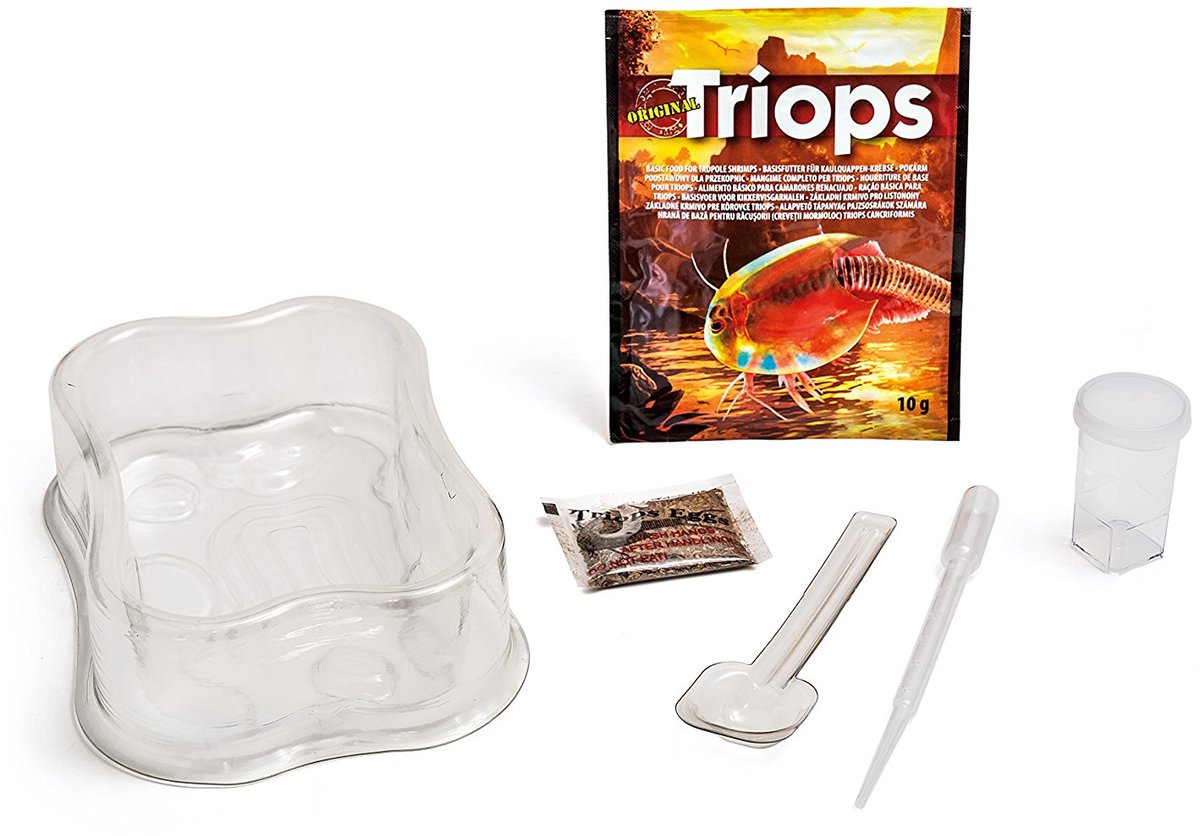 Clementoni Wetenschap & Spel - Kweek je eigen Triops - Experimenteerdoos - Educatief Speelgoed 8+ Jaar — cadeau in Spellen & Speelgoed - foto 6