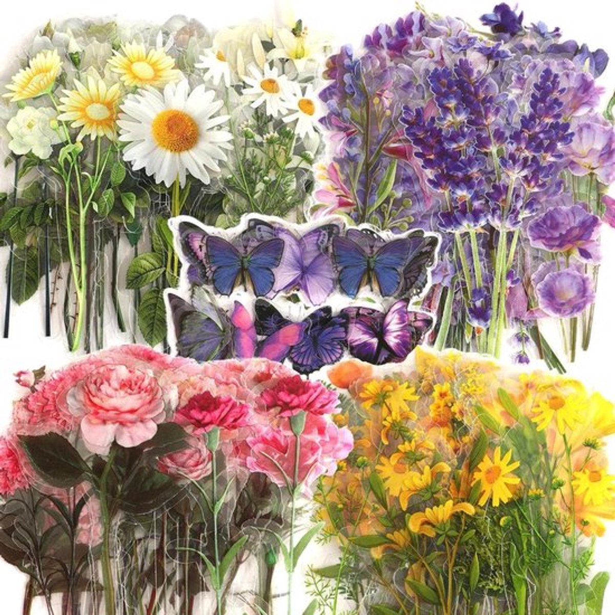 200 natuurlijke Allecto Plus vlinderstickers