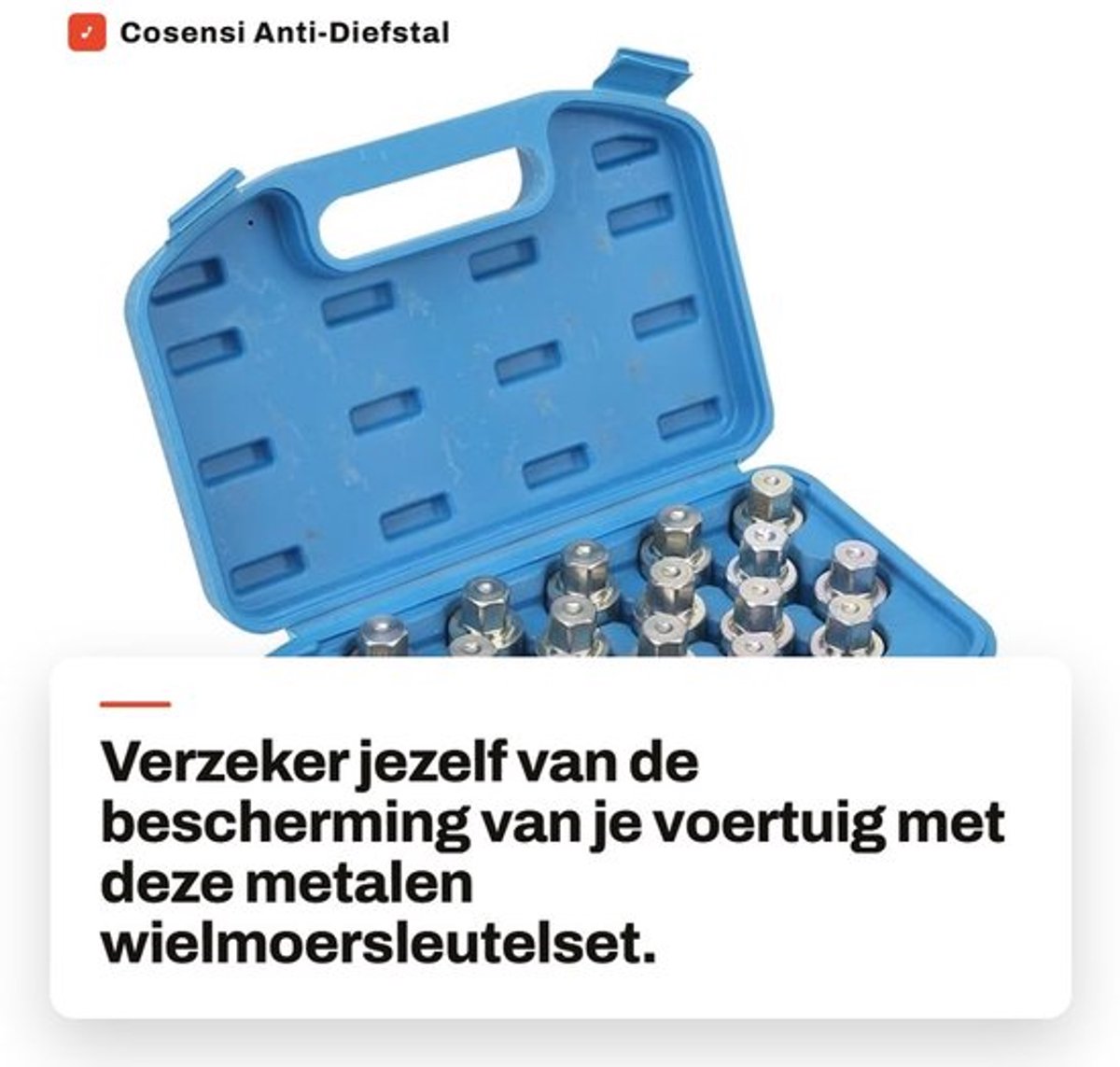 Wielboutverwijderaar Antidiefstal - 20-delige Sleutelset - Metalen Doppen - Stevig en Duurzaam - Voor Auto's - Professionele Afwerking - Wielmoersleutel