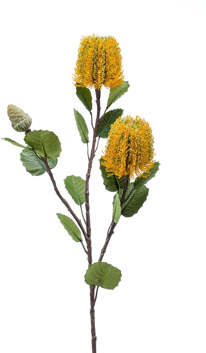 Emerald Kunstbloem Banksia geel 72cm - Kunstplant voor binnen