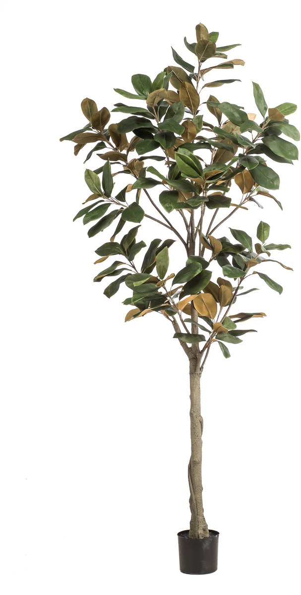 Emerald Kunstboom Magnolia Denudata 210cm - Kunstplant voor binnen - Magnolia plant - Magnolia boom Groen