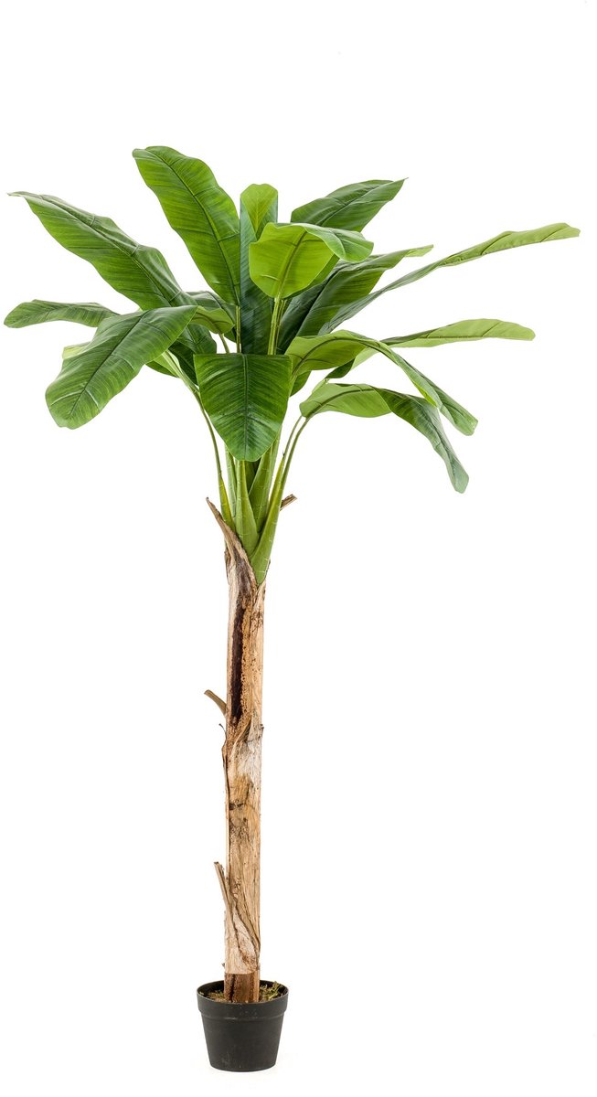 Emerald Kunstboom Bananenboom 180cm - Kunstplant voor binnen Groen