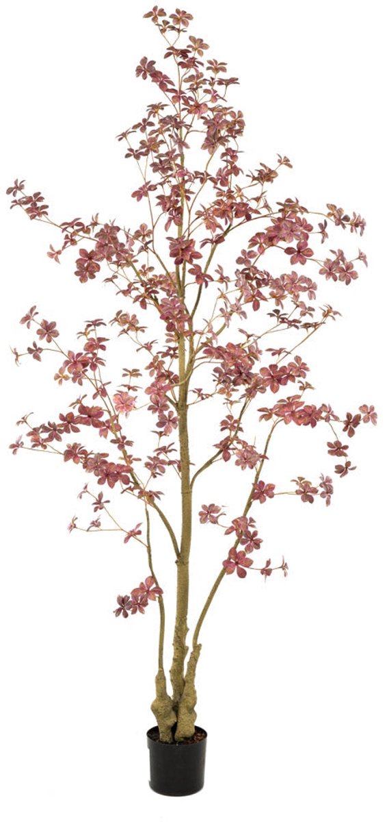 Emerald Kunstboom Tropaeolum 210cm Bordeaux - Kunstplant voor binnen - Tropaeolum plant - Oost Indische kers