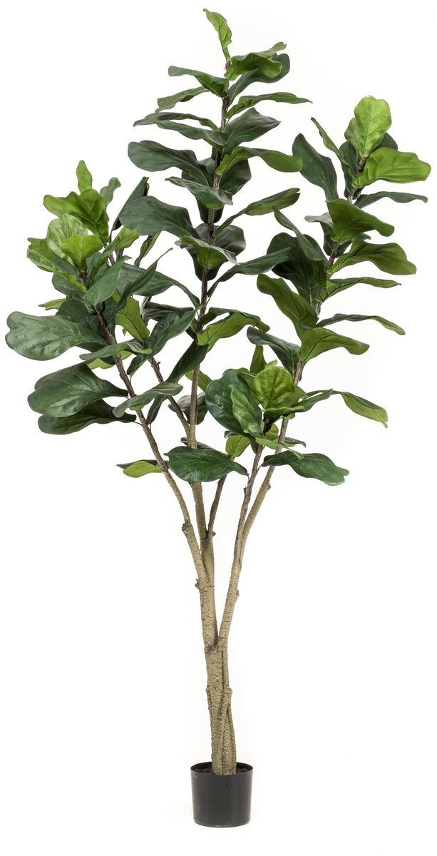 Emerald Kunstboom Ficus Lyrata 210cm - Kunstplant voor binnen - Ficus kunstplant Groen