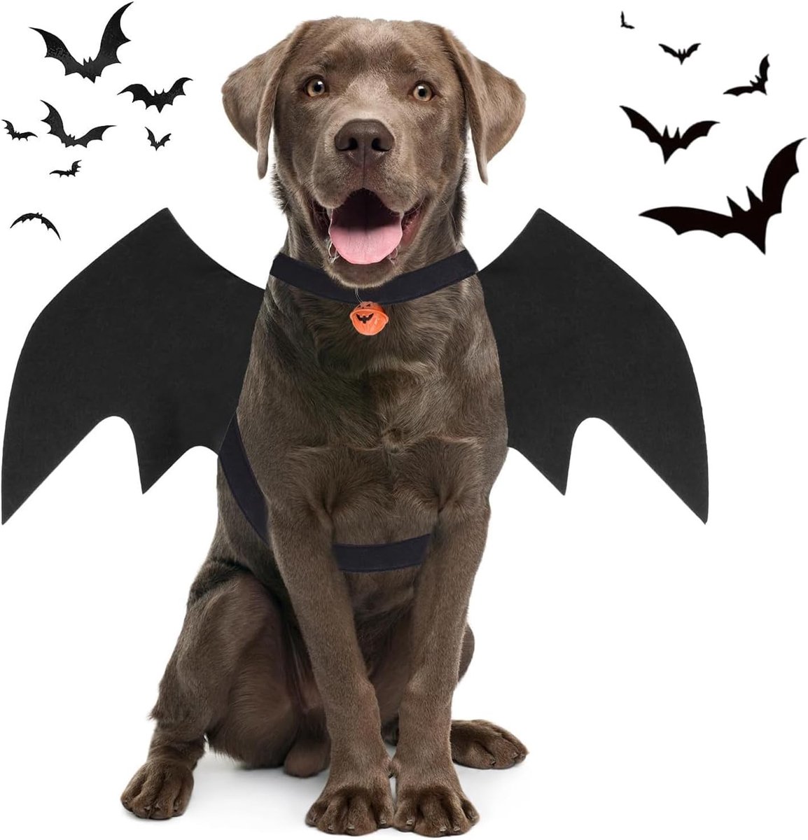 Vleermuiskostuum voor huisdieren, verstelbare vleugels en pompoenbel voor Halloween, ideaal voor katten en honden, feestkleding, cosplay, dierenaccessoires