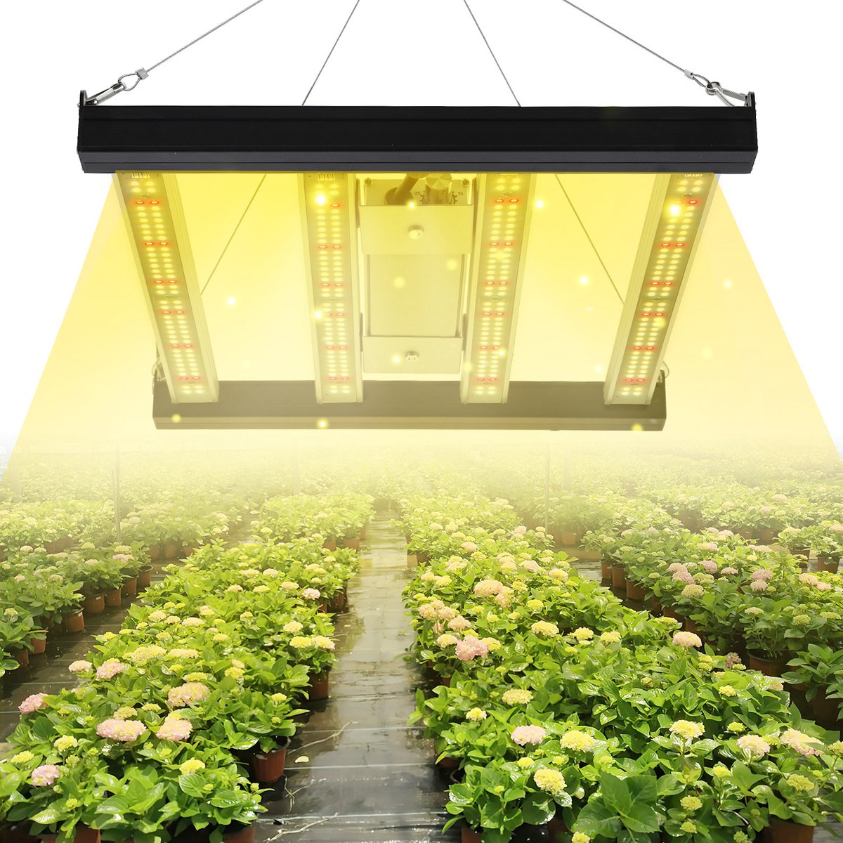 LED-plantenlamp 120W volledig spectrum groeilicht met dimfunctie – Efficiënte plantenverlichting voor binnentuinen en kassen