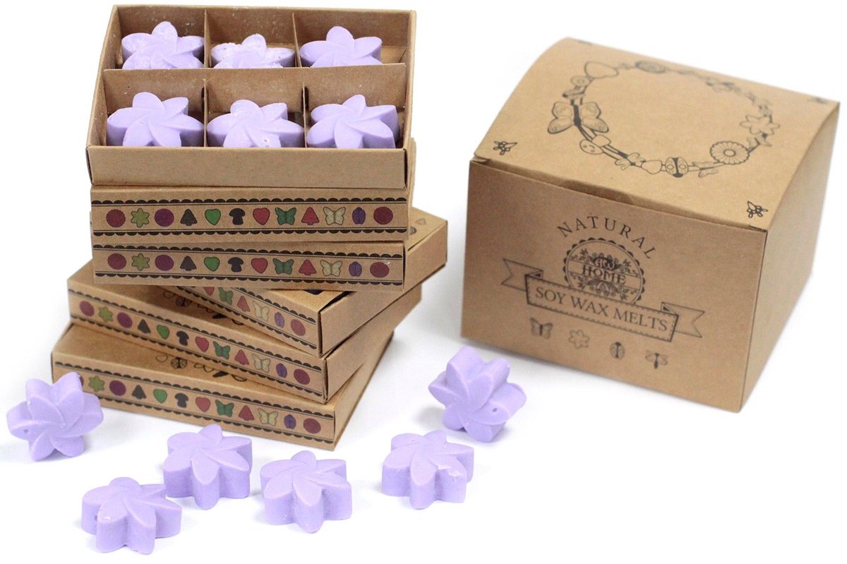 Ancient Wisdom Gift Set of 6 Wax Melts - Lavender Fields multicolor