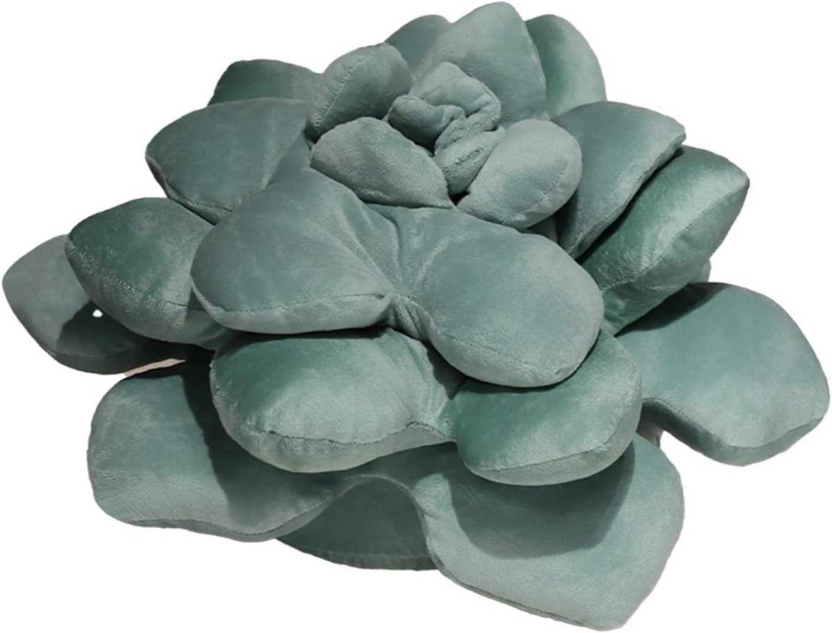 Decoratief 3D-pluche kussen met groene vetplant, zacht sierkussen voor woonkamer, bank en bed, trendy en comfortabel