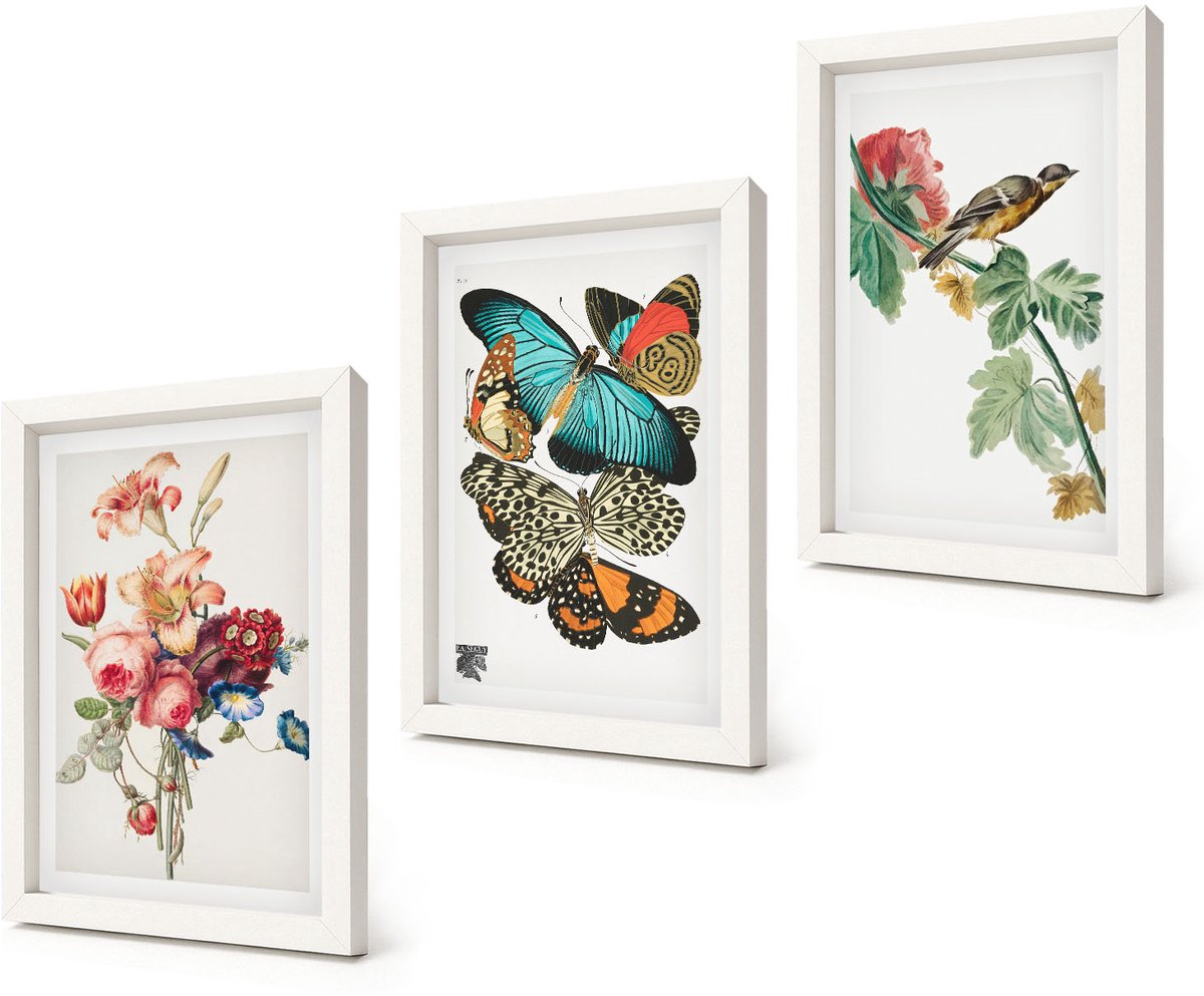 Coloray 3-Delige Schilderij Set - Bloemen, vlinders en vogels in pasteltinten - 20x30 - Muurdecoratie - Decoratieve Schilderijen - Wohnzimmer - Wanddecoratie