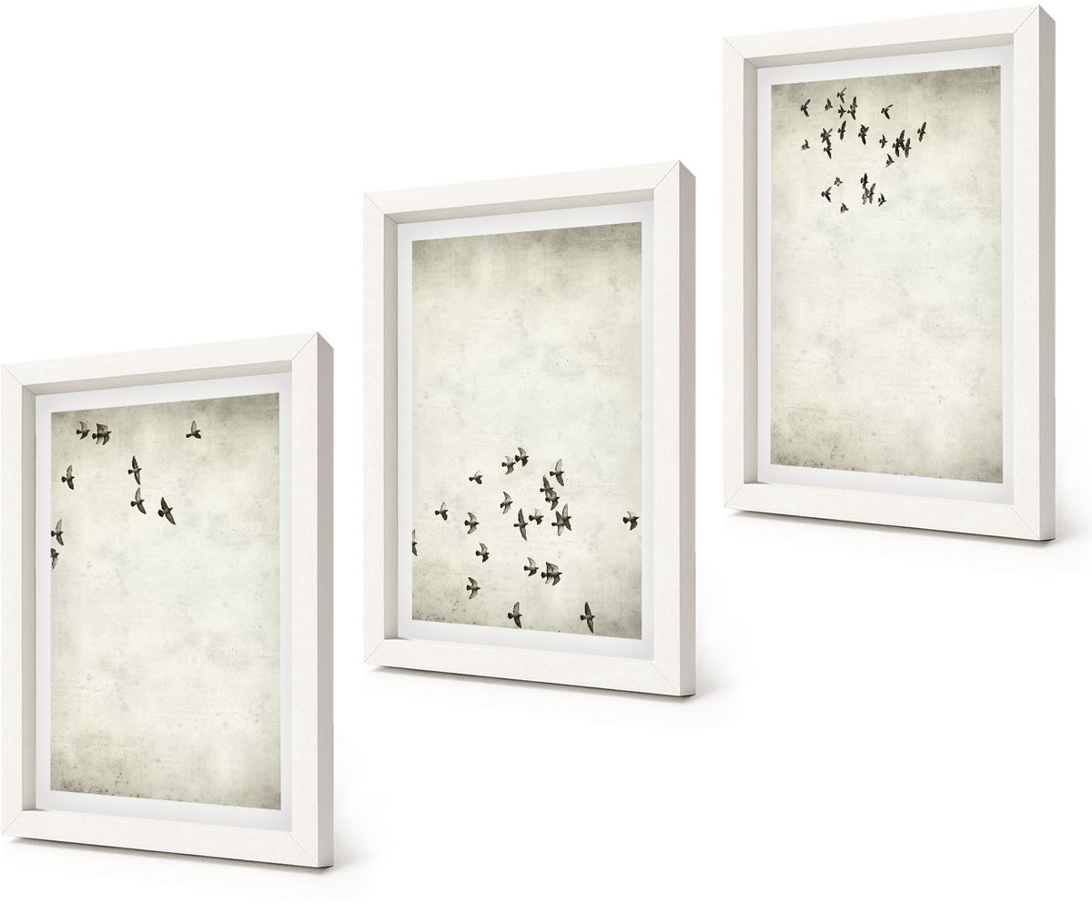 Coloray 3-Delige Schilderij Set - Minimalistisch schilderij van vliegende vogels - 20x30 - Moderne Wanddecoratie - Slaapkamer