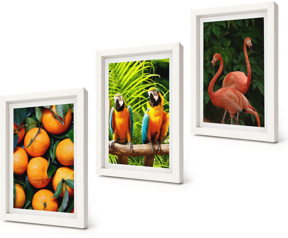 Coloray 3-Delige Schilderij Set - Fruitige accenten met papegaaien en flamingo's in de tropen - 20x30 - Stijlvolle Wanddecoratie - Interieur