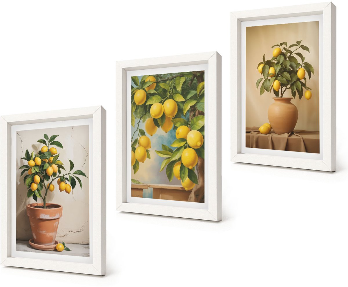 Coloray 3-Delige Schilderij Set - Citroenbomen in potten en vazen - 20x30 - Wanddecoratie - Muurdecoratie - Woonkamer - Interieur Decoratie