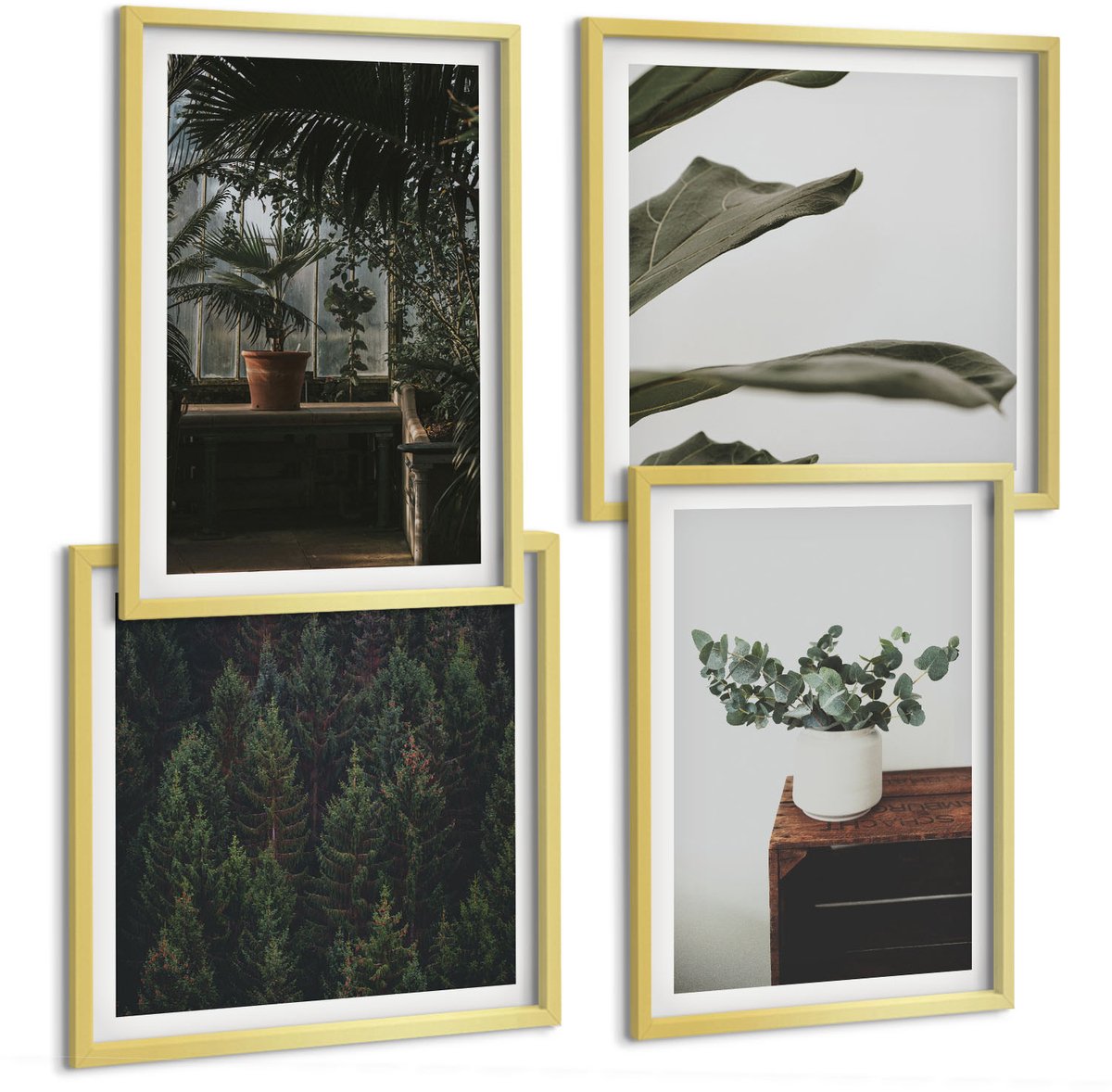 TULUP 4-Delige Schilderij Set - Rustieke bladeren potplanten - 40 x 40 cm en 40 x 60 cm - Schilderijen Set - Wanddecoratie - Woonkamer - Muurdecoratie Gouden lijst