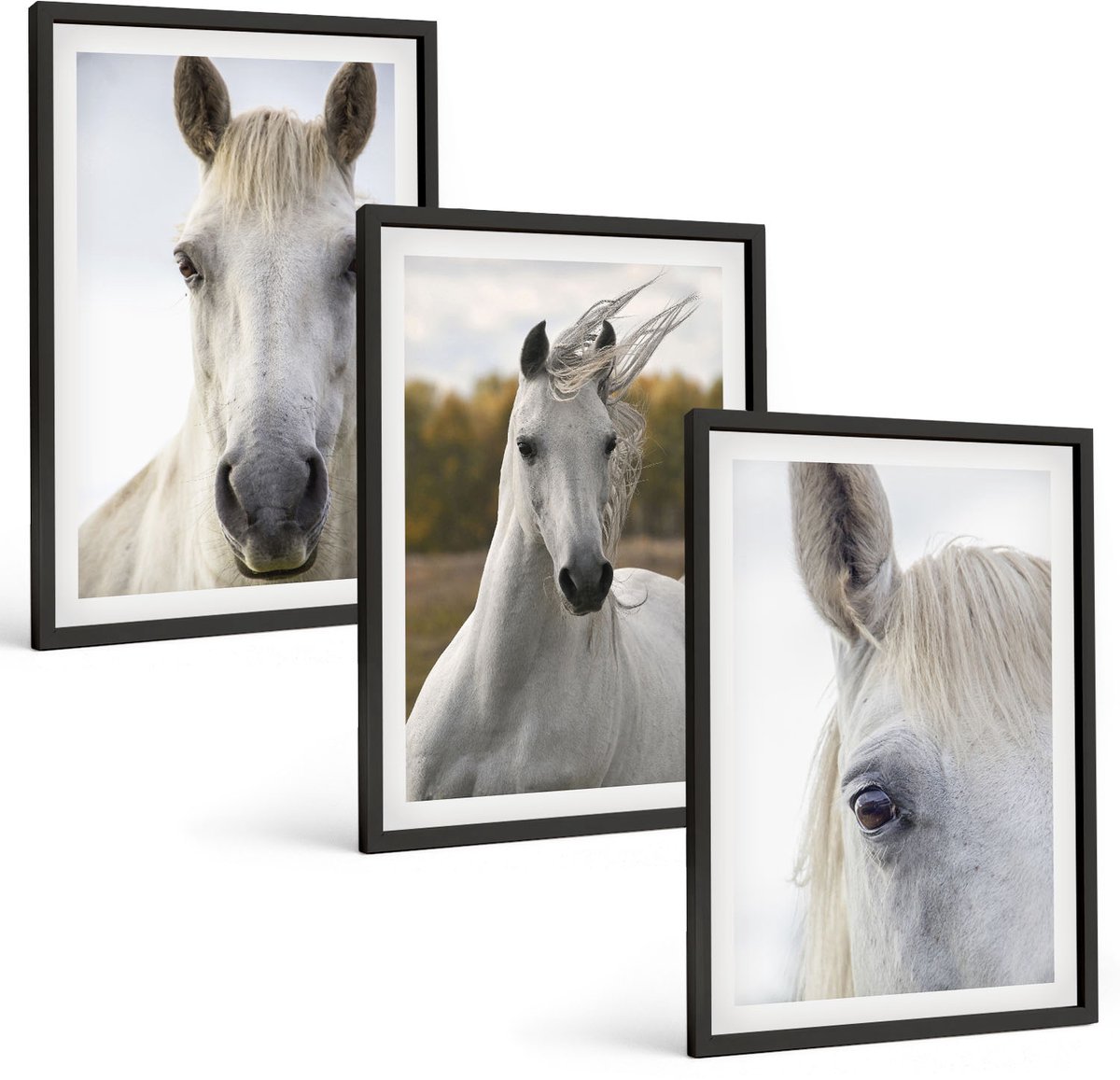 Tulup 4-Delige Schilderij Set - Witte paarden in verschillende houdingen tegen een natuurlijke achtergrond. - 40 x 60 cm - Muurdecoratie - Interieur Decoratie - Stijlvolle Muurdecoratie