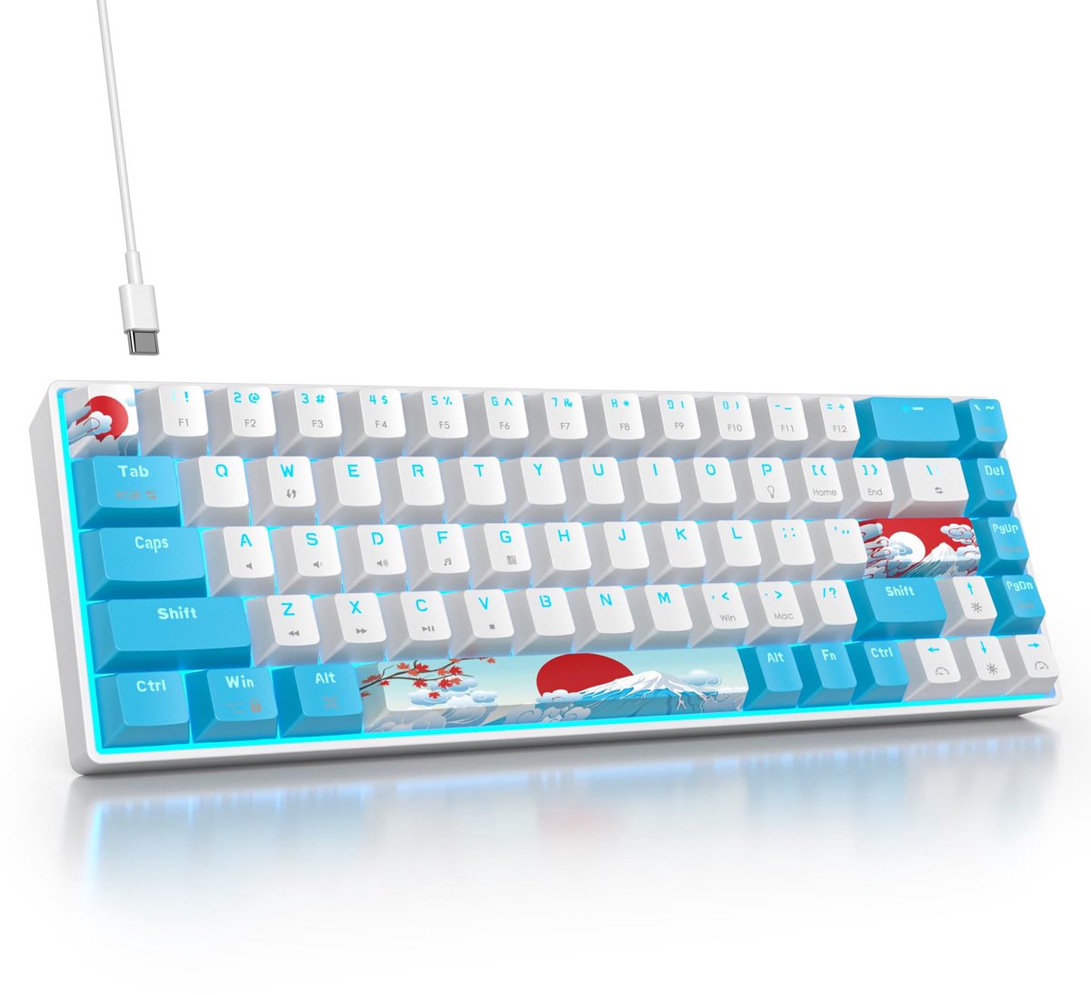 SOLIDEE Draagbaar 65% Mechanisch Gaming Toetsenbord,68 Toetsen Compact RGB LED Verlicht Bedraad Toetsenbord met - ShopVlot