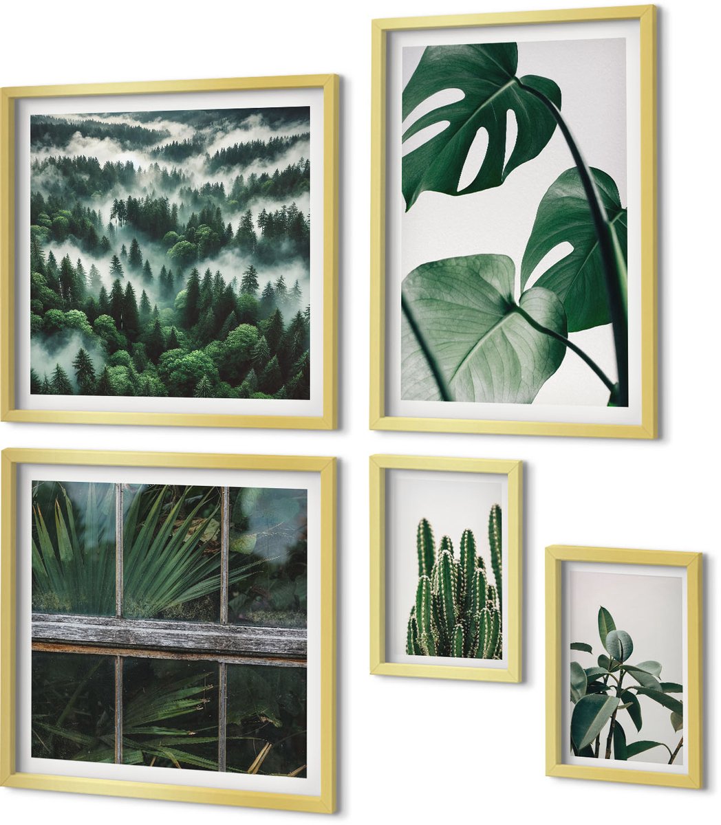 Coloray 5-Delige Schilderij Set - Planteninspiratie Met Tropische Bladeren En Cactussen - 50 x 50 cm, 20 x 30 cm En 40 x 60 cm - Wanddecoratie - Woonkamer Decoratie - Interieur Decoratie