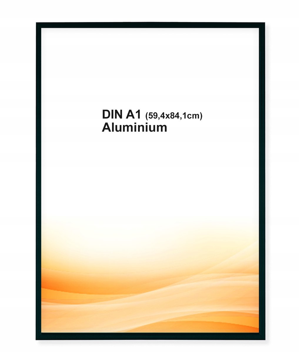 Aluminium Fotolijst A1 (59,4x84,1cm) Zwart Mat Antireflecterend Plexi