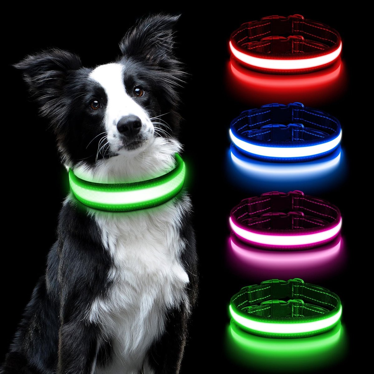 Dailygoods - Lichtgevende Halsband - Verstelbare Veiligheidshalsband - Waterdicht - Groen-M - LED-halsband - Geschikt voor honden - Medium