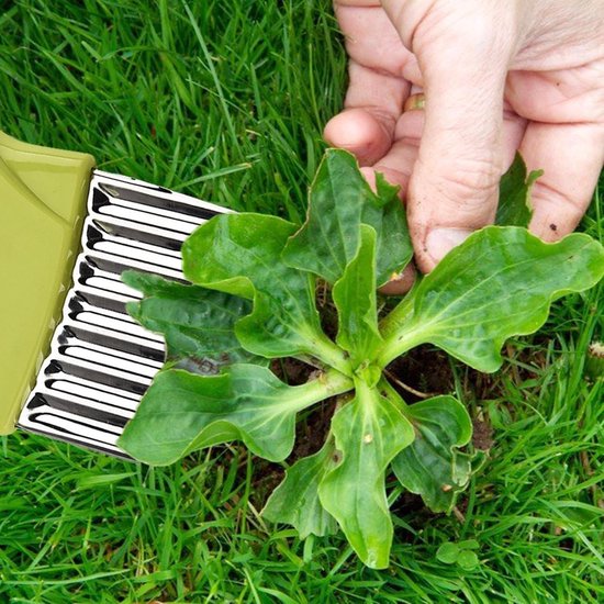 Onkruidborstel RVS - Voegenreiniger Tuin - Onkruid Verwijderen - Hefboomprincipe - 10.8 x 9.5 cm - Groen Blauw — afbeelding 2
