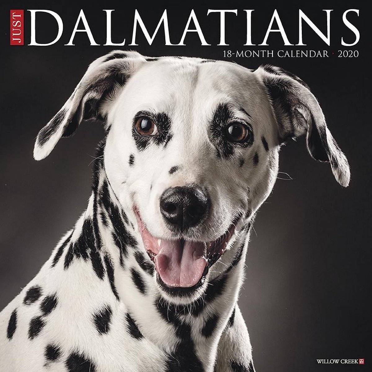 Dalmatier Kalender 2020