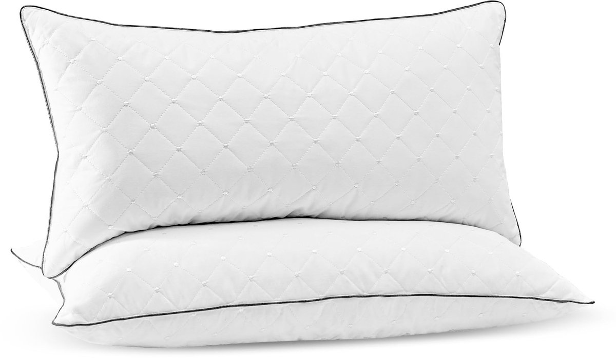 Omgoods - Luxe Bedkussen van Dons en Veren 40 x 70 cm
