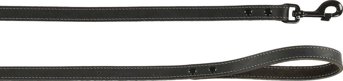 Hondenriem Leer - Hondenlijn Trainingsriem - Hond Uitlaten - Verstelbaar Vier Posities - 130 cm x 20 mm - Zwart