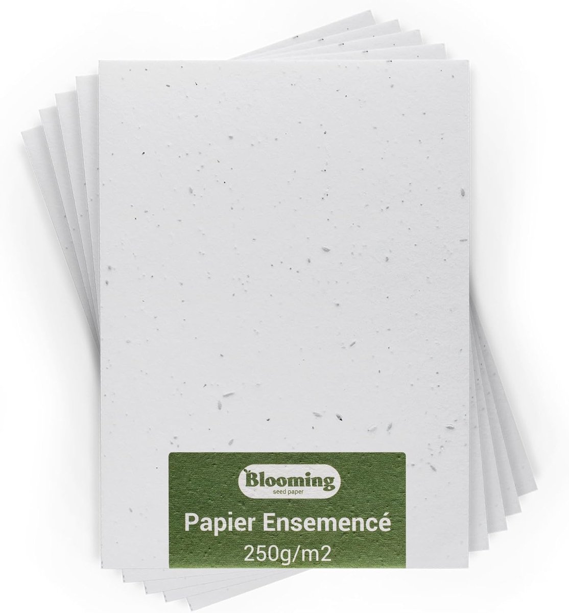 Sown paper A4 - 250g/m² - biologisch afbreekbaar - ideaal voor uitnodigingen - ShopVlot