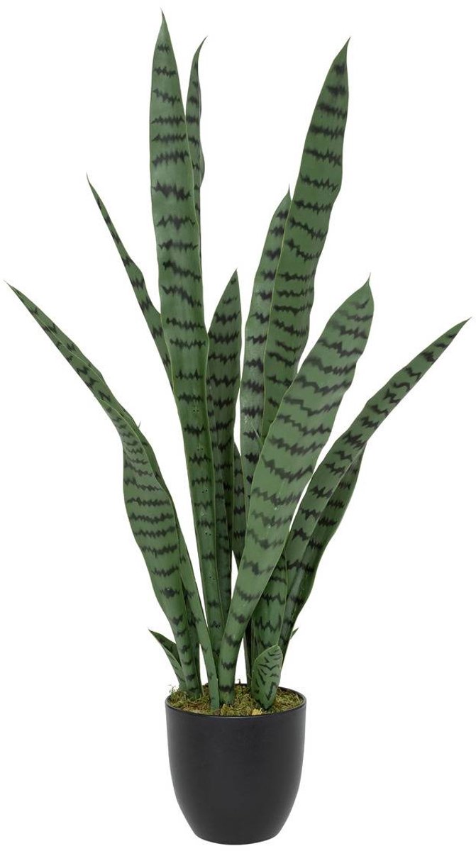 Kunstplant Sansevieria Toby Pot zwart H90cm