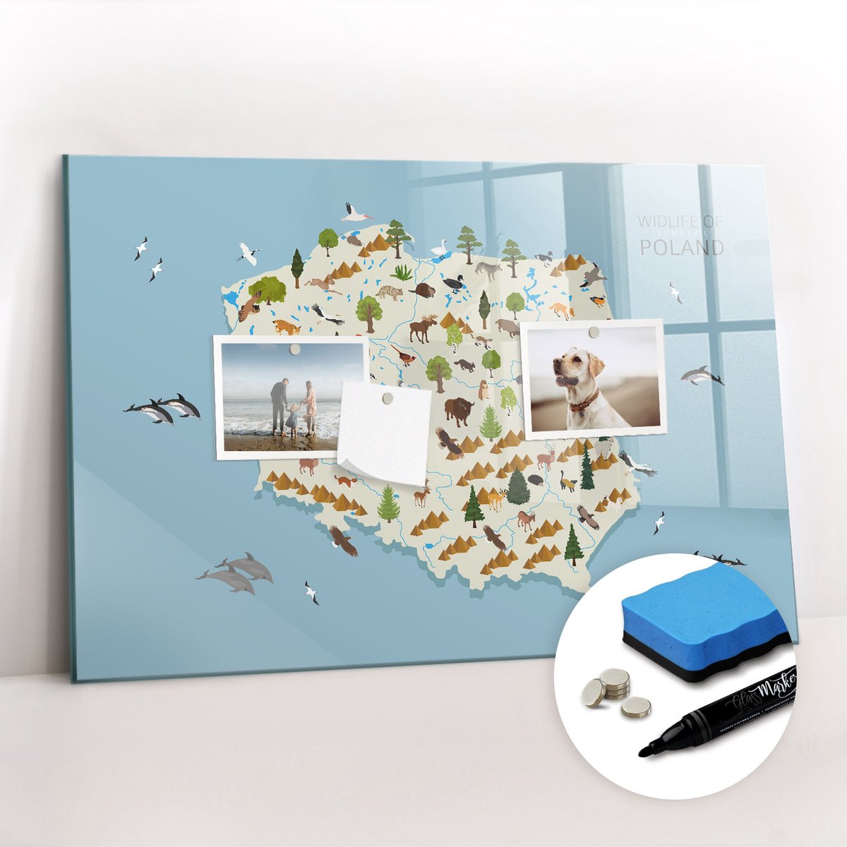Tulup Whitebord - Poolse dierenkaart - 60 x 40 cm - Veelkleurig Magnetisch Memobord - Gratis 5 Sterke Magneten + Whiteboard Marker & Wisser - Industrieel Wandbord - Magnet Board - Ideeënbord Thuiswerkplek