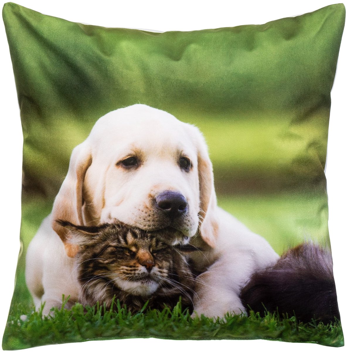 Omgoods - Decoratieve Kussen met Golden Retriever en Kat Motief 40 x 40 cm
