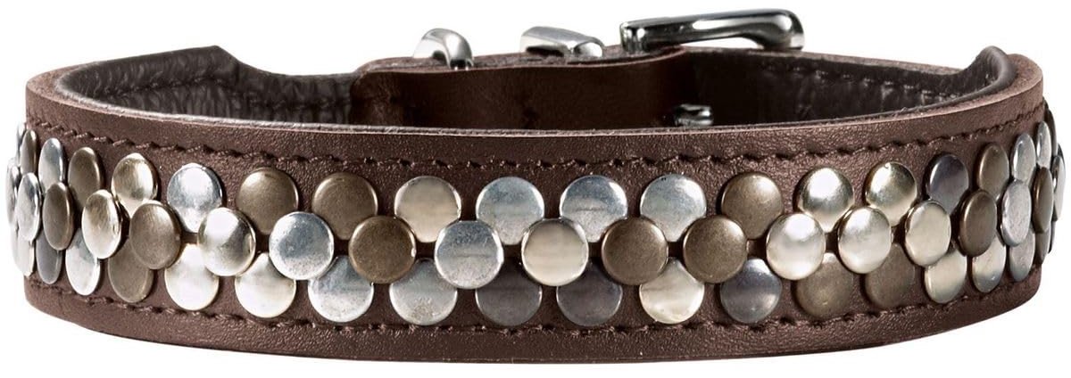 Omgoods - Hondenhalsband van Leer met Luxe Rivetten, Bruin, Maat 60