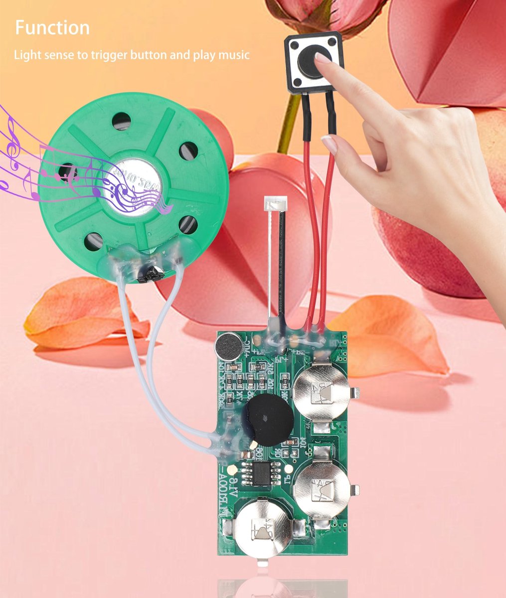 Dailygoods - Recordable Voice Module - Audio Chip - 4 Minuten Opname - DIY Geluidsmodule - Perfect voor Wenskaarten - Geschikt voor Persoonlijk Gebruik