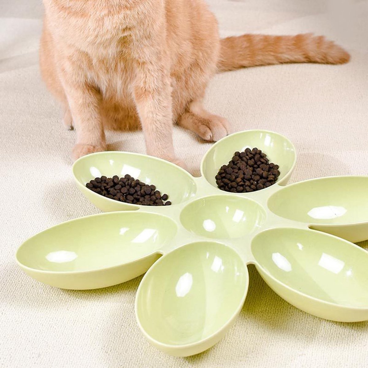Dailygoods - Bloemblaadjes Voerbak voor Katten met 6 Compartimenten