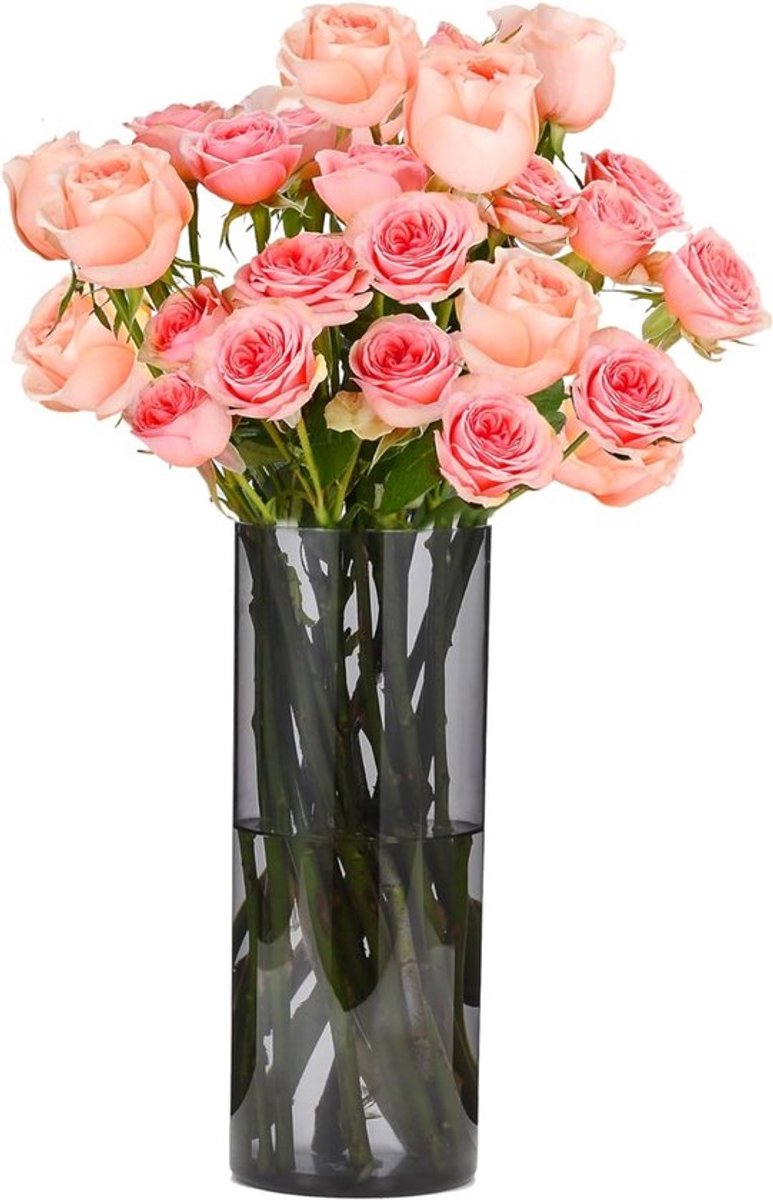 Moderne Grijze Acrylen Vaas - Schokbestendige Lichtgewicht Cilindervaas voor Bloemen - Decoratieve Vaas voor Woonkamer, Slaapkamer en Badkamer - 10x30cm