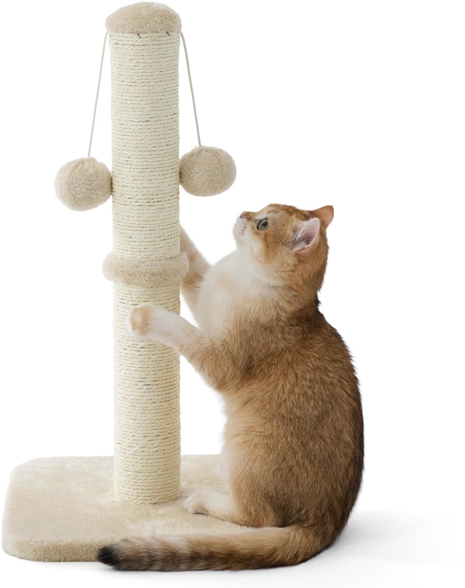 SnelShoppen - Lesure Krabpaal voor Binnenkatten - Hoge Sisal Krabstam met Hangend Speelballetje - 30x30x57 cm - Beige - Krabmeubel voor Katten