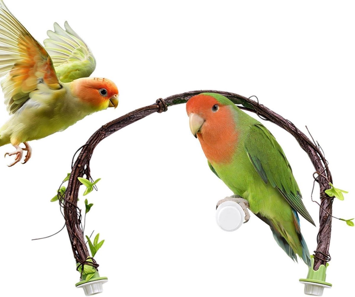 Klimstang Vogelkooi - Zitstok Hars - Vogel Verrijking - Buigzame Kooi - 66 cm - Meerkleurig