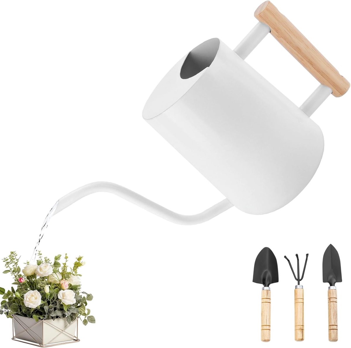 SnelShoppen - Gieter voor Kamerplanten 1L, Kleine Roestvrij Stalen Gieter met Lange Uitloop, Mini-Gieter voor Binnen en Buiten, Witte Tuingieter voor