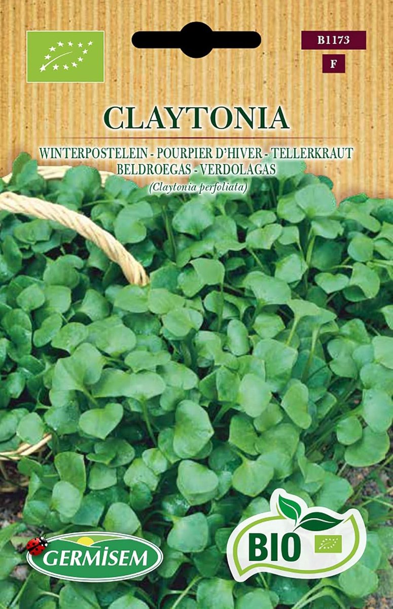 SnelShoppen - Organic Claytonia Purslane Zaden 1 g - Winterharde Sla Bladeren voor Buiten - Voor Beschermde Teelt van Augustus tot Februari - Gezonde